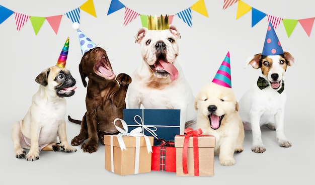 Grupo, de, filhotes cachorro, celebrando, um, ano novo