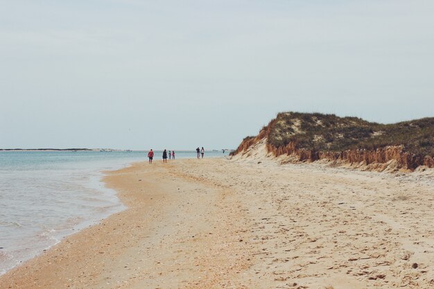 Grupo de pessoas caminhando na praia ao lado da praia