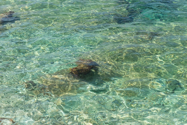 Água do mar em um dia ensolarado