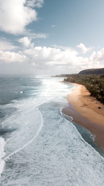 Água do mar por uma praia arenosa cercada por árvores sob um céu azul claro com nuvens brancas