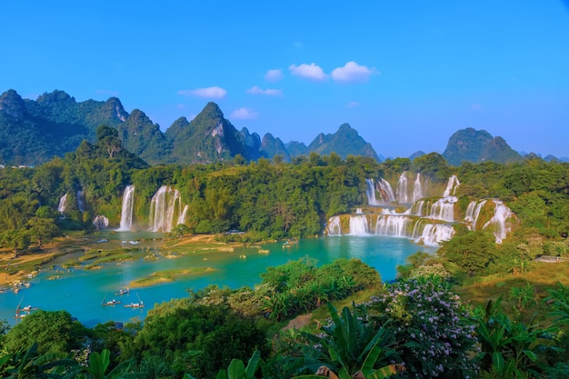 Água paisagem frescura beleza floresta