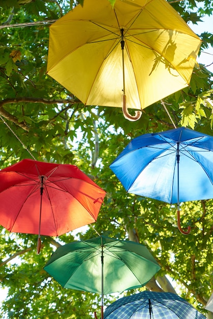 Guarda-chuva colorido pendurado em árvores