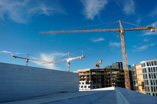 Guindastes em um canteiro de obras