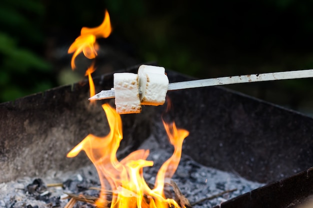 Guloseimas para crianças na fogueira. marshmallow frito