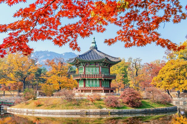 Gyeongbukgung e Maple tree no outono na Coréia.