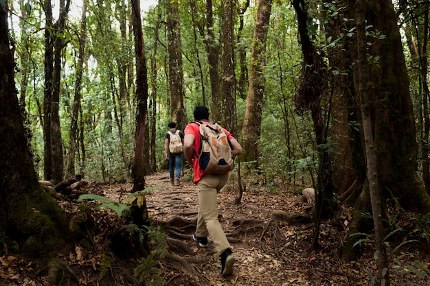 Hiker amigos em uma floresta