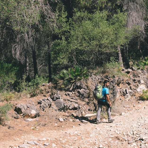 Hiker andando na natureza