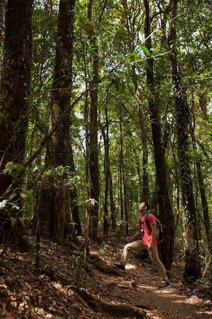 Foto grátis hiker em uma floresta selvagem