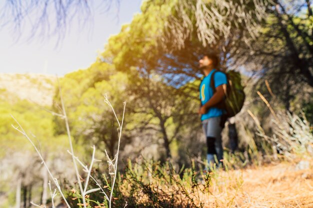 Hiker in forest looking up