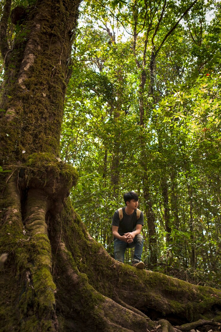 Foto grátis hiker, posar, logo, enorme, árvore