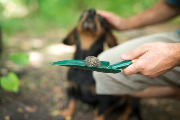 Homem agradecendo a seu cão treinado por ajudá-lo a encontrar cogumelos trufas na floresta