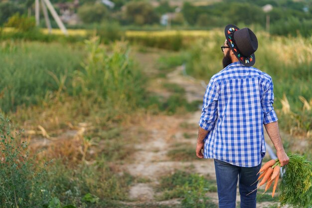 Homem, agricultor, trabalhador, segurando nas mãos a colheita caseira de cenouras frescas de laranja. Jardim privado, economia natural, conceito de hobby e lazer