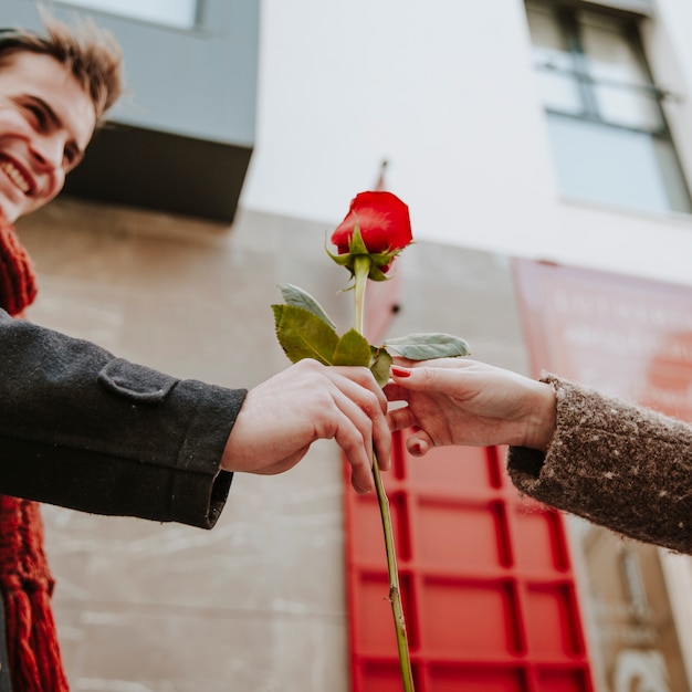 Homem alegre dando rosa a mulher irreconhecível