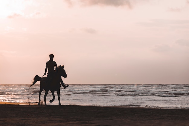 Homem andando a cavalo na praia ao pôr do sol