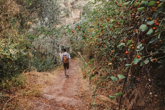 Homem andando na floresta