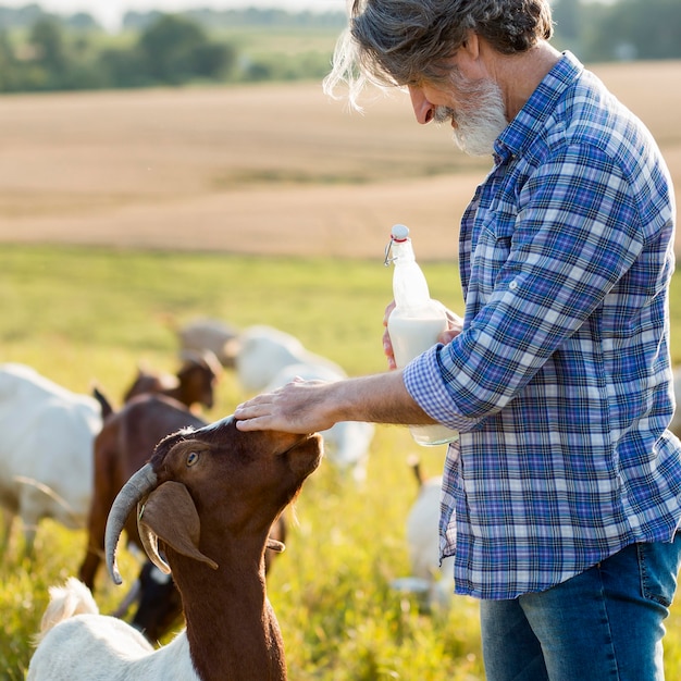 Homem ao lado de cabras com garrafa de leite