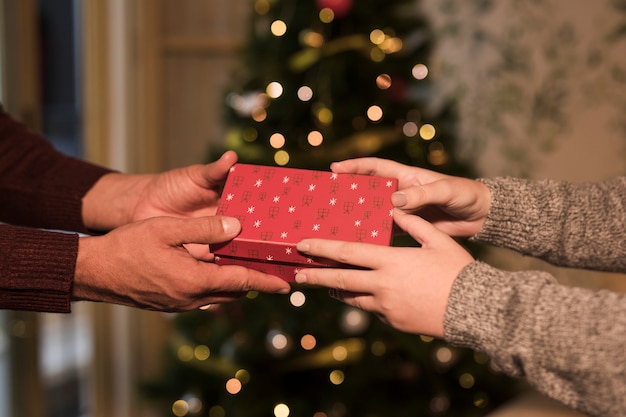 Homem, apresentando, caixa presente, para, mulher, perto, árvore natal