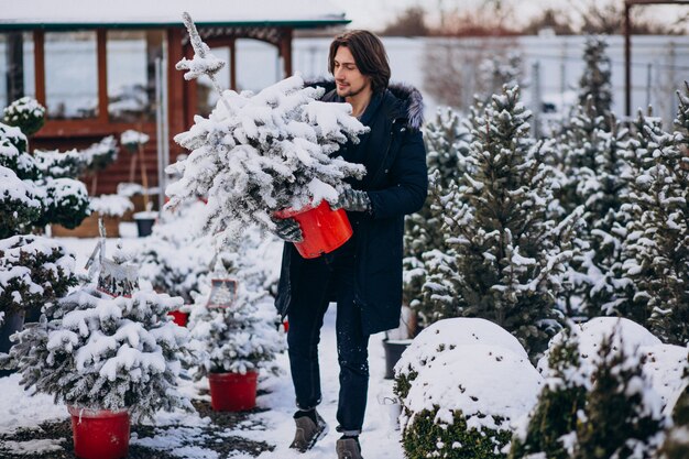 Homem bonito, escolhendo uma árvore de Natal