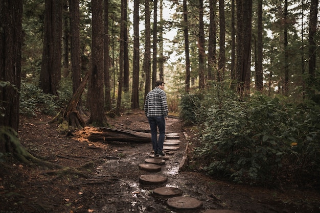 Foto grátis homem caminhando, em, floresta