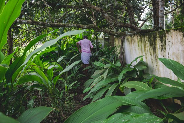 Homem caminhando por um caminho na floresta