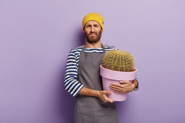 Homem chateado se sente cansado de plantar plantas caseiras, carrega um vaso de flores com um grande cacto, trabalha em uma floricultura, usa chapéu amarelo, avental