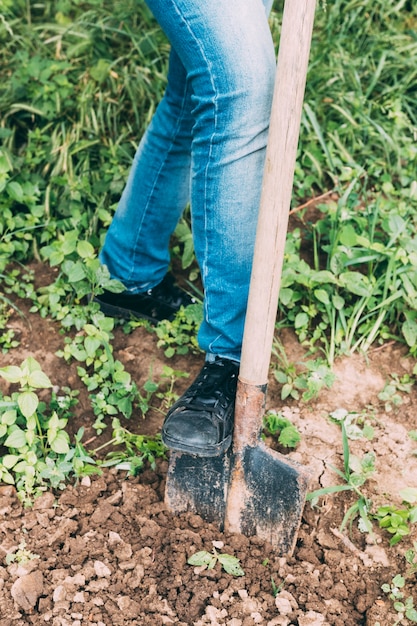 Foto grátis homem colheita, cavando, chão