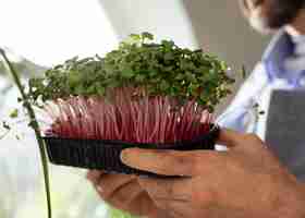 Foto grátis homem com plantas que foram cultivadas e cultivadas dentro de casa