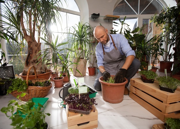 Homem crescendo e cultivando plantas dentro de casa
