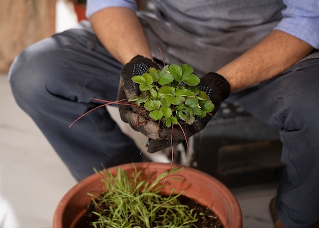 Foto grátis homem crescendo e cultivando plantas dentro de casa