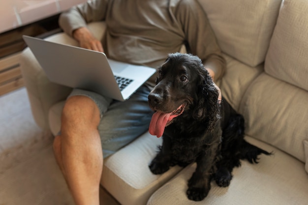 Foto grátis homem de alto ângulo segurando laptop