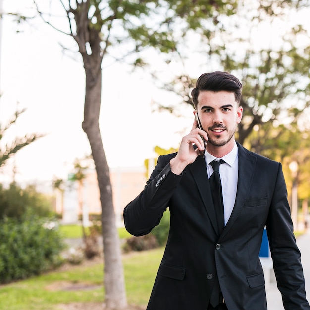 Homem de negócios ao telefone no parque