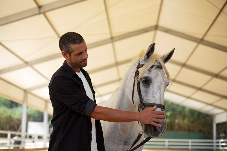 Foto grátis homem de tiro médio com um belo cavalo.