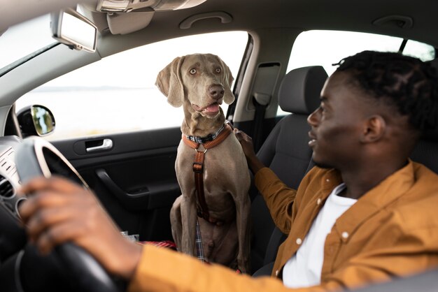 Homem de tiro médio olhando para um cachorro