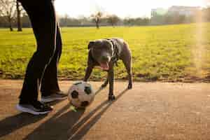 Foto grátis homem de vista lateral brincando com cachorro ao ar livre