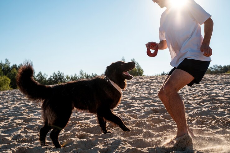 Foto grátis homem de vista lateral brincando com cachorro na praia