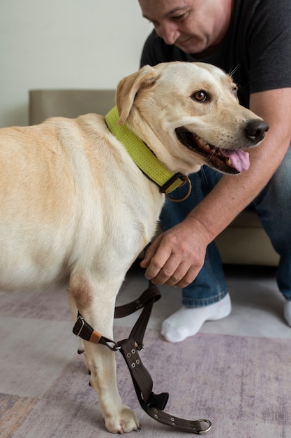 Homem em casa colocando uma coleira em seu cachorro