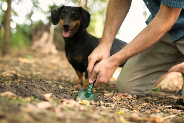 Foto grátis homem especialista em cavar com uma pá para encontrar trufas com a ajuda de seu cão treinado