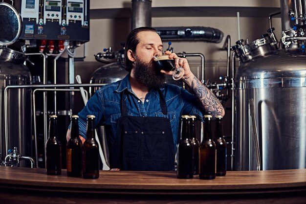 Homem hipster tatuado barbudo em uma camisa jeans e avental trabalhando em uma fábrica de cervejaria, atrás de um balcão, bebe uma cerveja artesanal para controle de qualidade.