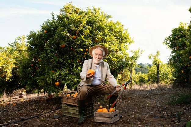 Homem idoso com laranjas frescas