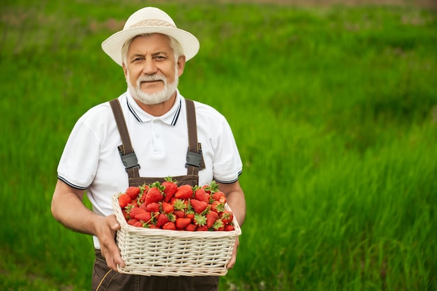 Homem idoso em pé no campo com uma cesta de morangos