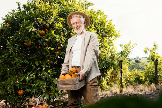 Homem idoso em plantação de laranjeiras