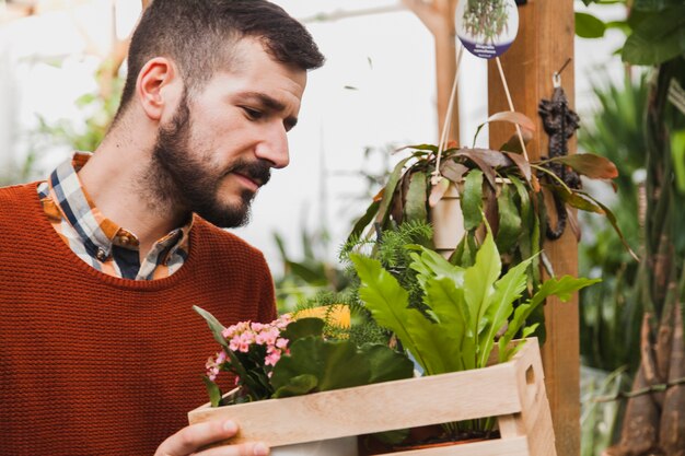 Homem olhando dentro da caixa com plantas