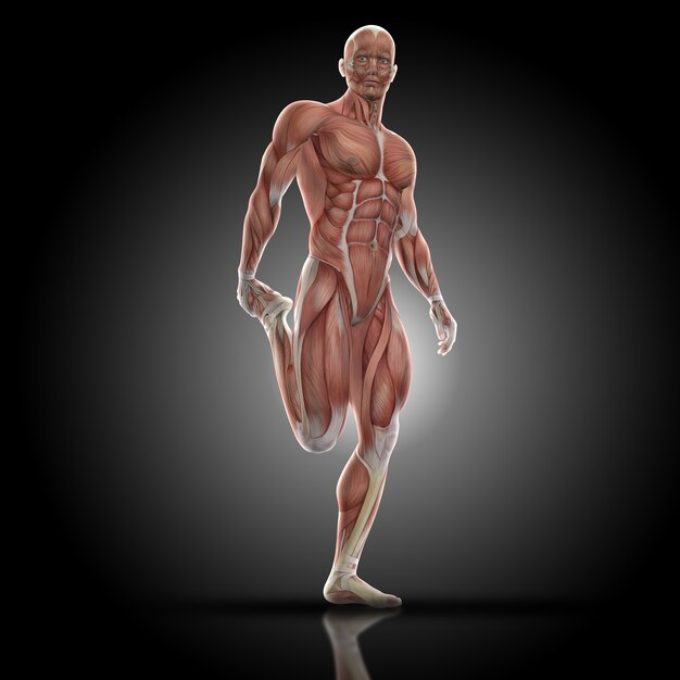 Homem que estica quadríceps musculares