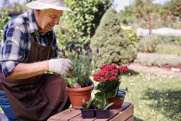 Homem sênior trabalhando no campo com plantas