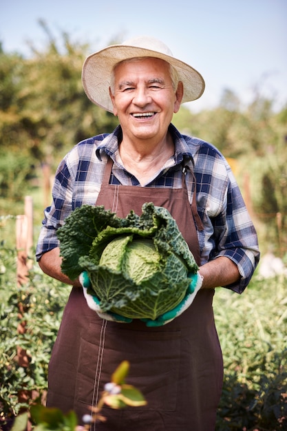 Homem sênior trabalhando no campo com vegetais