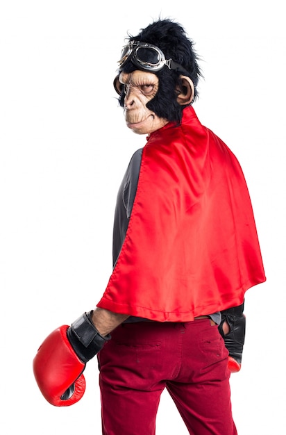 Foto grátis homem super-herói macaco