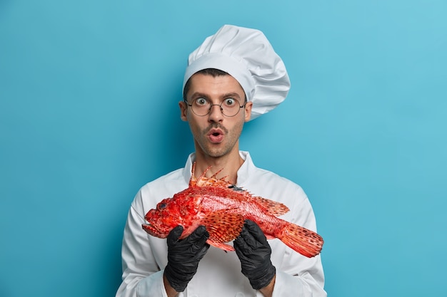 Homem surpreso segura peixe vermelho cru, fica de boca aberta, vai assar ou ferver robalo, vestido de uniforme, luvas de borracha