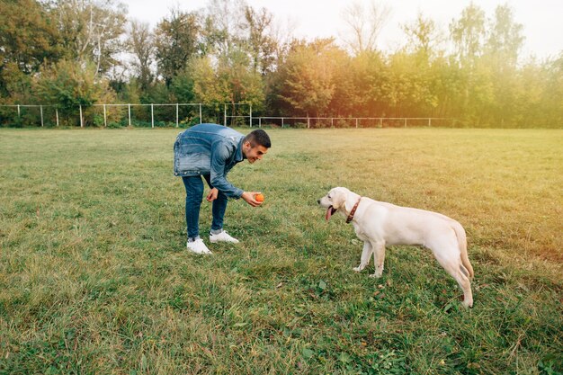 Homem, tocando, com, seu, cão, labrador, em, bola, parque