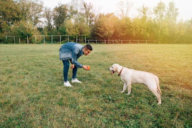 Homem, tocando, com, seu, cão, labrador, em, bola, parque