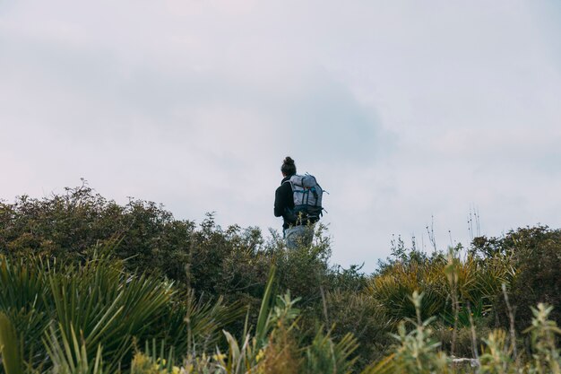 Homem, trekking, em, natureza